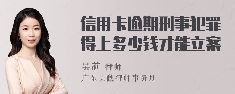 信用卡逾期刑事犯罪得上多少钱才能立案