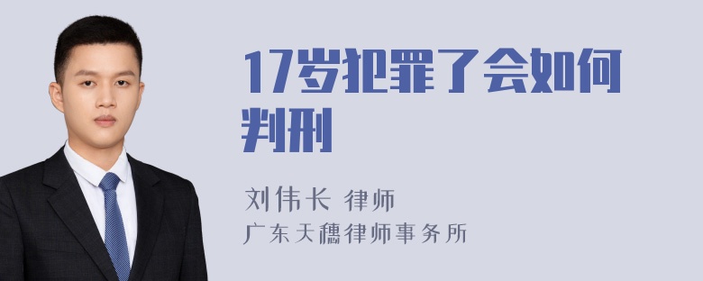 17岁犯罪了会如何判刑