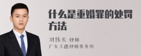 什么是重婚罪的处罚方法