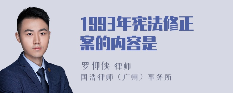 1993年宪法修正案的内容是