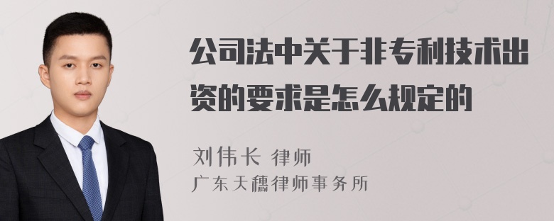 公司法中关于非专利技术出资的要求是怎么规定的