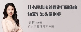 什么是非法处置进口固体废物罪？怎么量刑呢