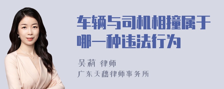 车辆与司机相撞属于哪一种违法行为