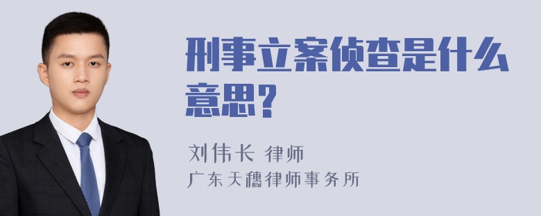 刑事立案侦查是什么意思?