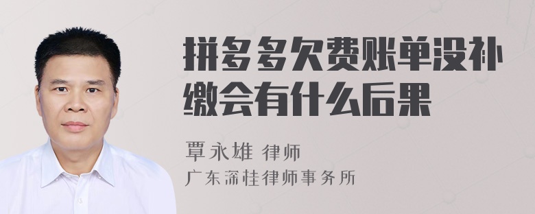 拼多多欠费账单没补缴会有什么后果