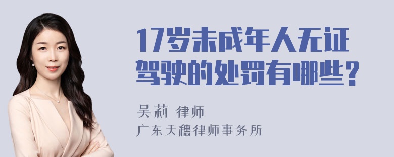 17岁未成年人无证驾驶的处罚有哪些?