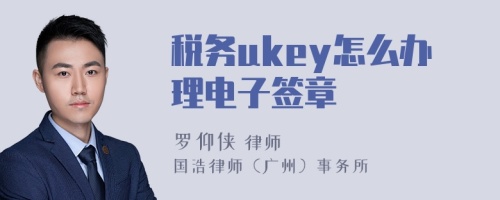 税务ukey怎么办理电子签章