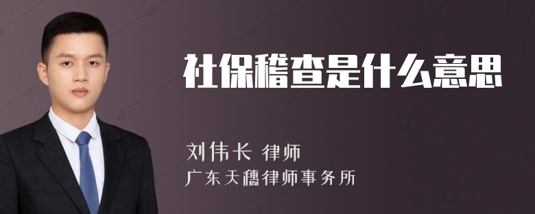 社保稽查是什么意思