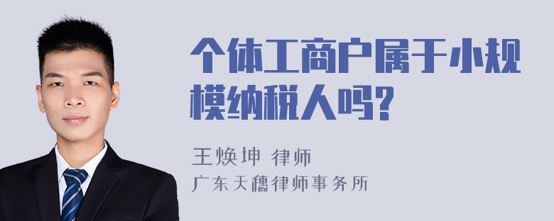 个体工商户属于小规模纳税人吗?