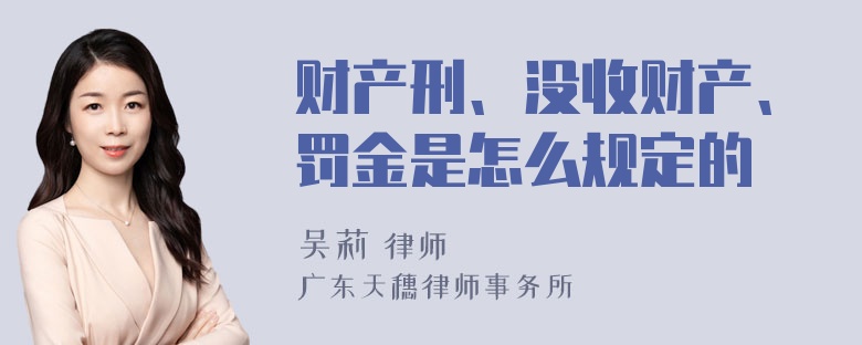 财产刑、没收财产、罚金是怎么规定的