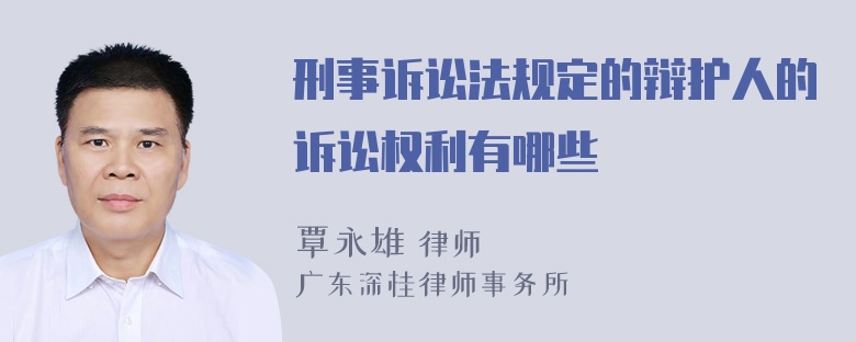 刑事诉讼法规定的辩护人的诉讼权利有哪些