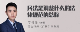 民法是调整什么的法律规范的总称