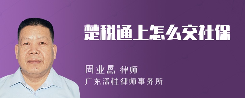 楚税通上怎么交社保