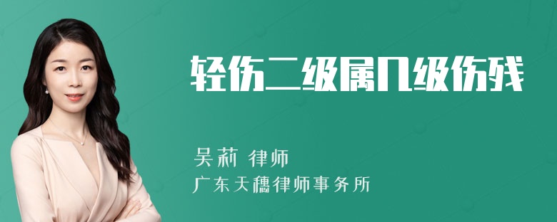 轻伤二级属几级伤残