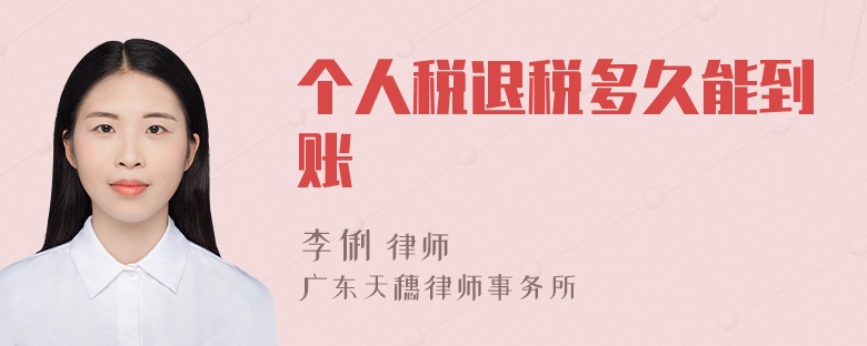 个人税退税多久能到账