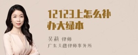 12123上怎么补办大绿本