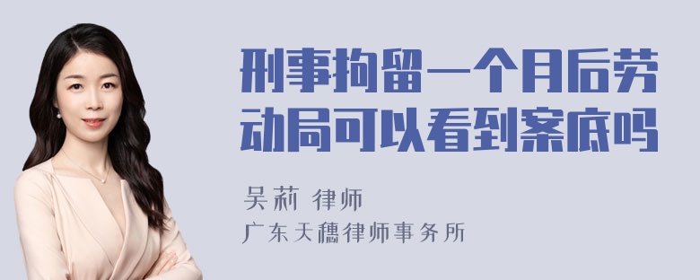 刑事拘留一个月后劳动局可以看到案底吗