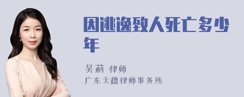 因逃逸致人死亡多少年