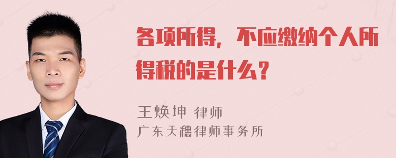 各项所得，不应缴纳个人所得税的是什么？