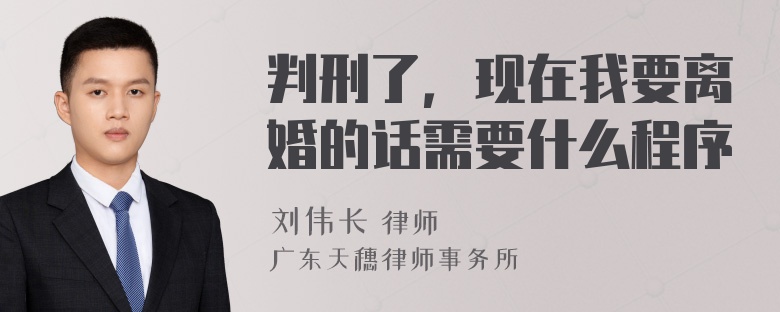 判刑了，现在我要离婚的话需要什么程序