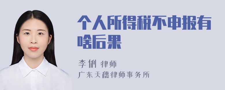 个人所得税不申报有啥后果