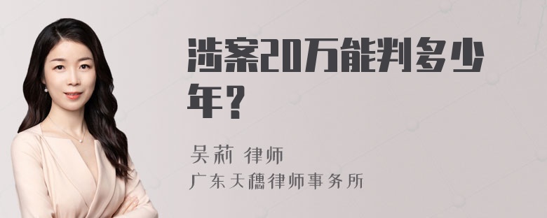 涉案20万能判多少年？