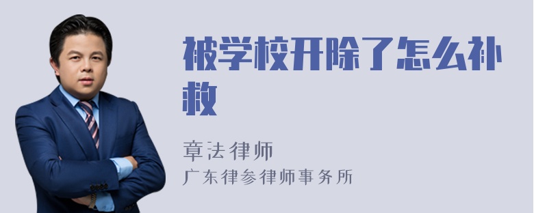 被学校开除了怎么补救