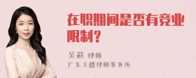 在职期间是否有竞业限制？