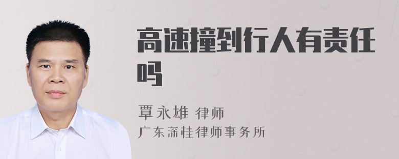 高速撞到行人有责任吗