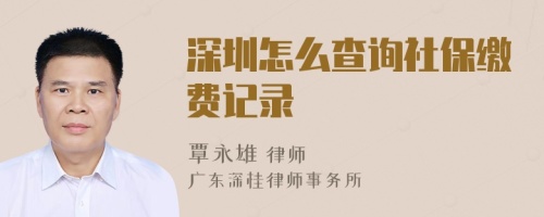 深圳怎么查询社保缴费记录