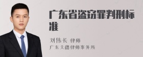 广东省盗窃罪判刑标准