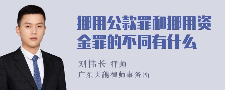 挪用公款罪和挪用资金罪的不同有什么