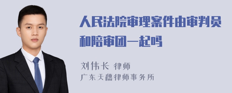 人民法院审理案件由审判员和陪审团一起吗