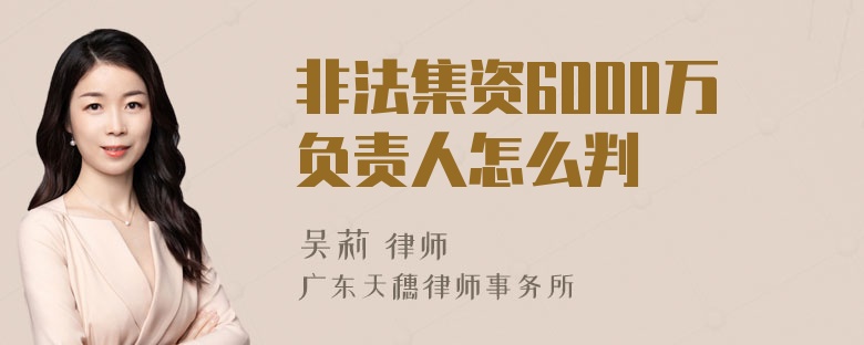 非法集资6000万负责人怎么判