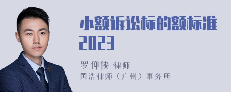 小额诉讼标的额标准2023