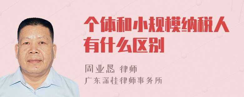 个体和小规模纳税人有什么区别