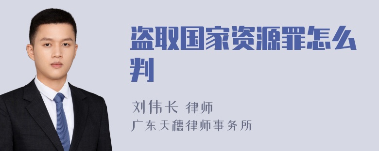 盗取国家资源罪怎么判