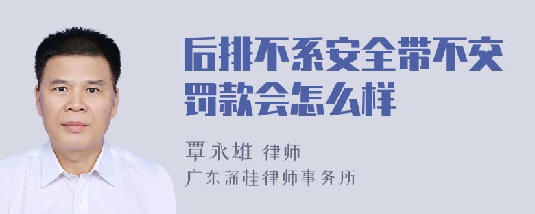 后排不系安全带不交罚款会怎么样