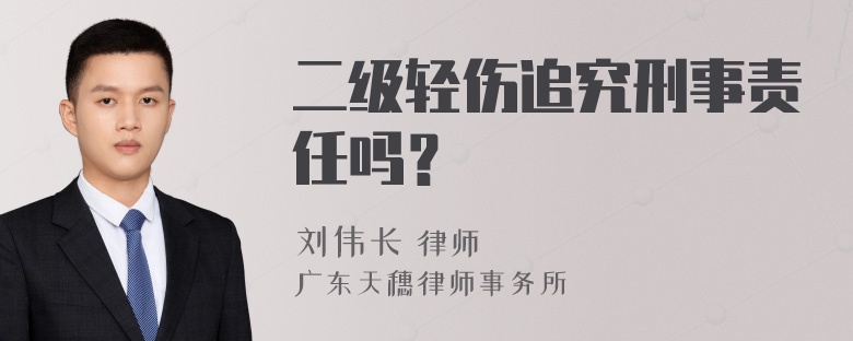 二级轻伤追究刑事责任吗？