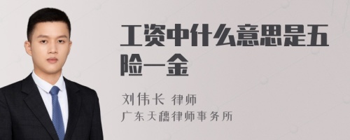 工资中什么意思是五险一金