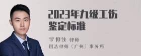 2023年九级工伤鉴定标准