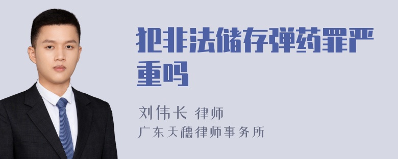 犯非法储存弹药罪严重吗