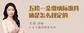 五险一金缴纳标准具体是怎么规定的