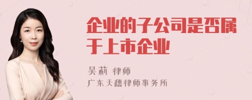 企业的子公司是否属于上市企业