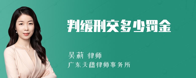 判缓刑交多少罚金