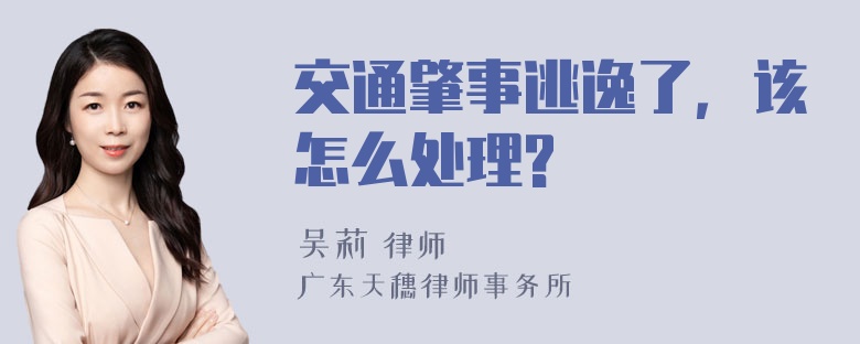 交通肇事逃逸了，该怎么处理?