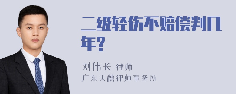 二级轻伤不赔偿判几年?