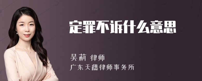 定罪不诉什么意思