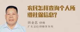 农民怎样查询个人所缴社保信息?