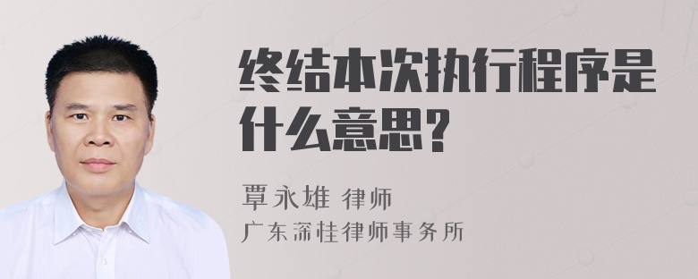 终结本次执行程序是什么意思?